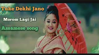 টোকে দেখী জানো মৰম লাগী যাই  Toke Dekhi Jaano Morom Laagi Jaai  New Assamese Song 2024 [upl. by Ciredec]