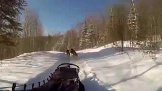 Kanatha Aki Traîneau à chiens Dogsled Mont Tremblant Laurentides Quebec [upl. by Airakaz]