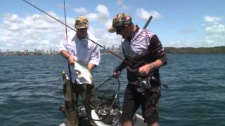 Whiting Fishing Sydney Harbour [upl. by Isdnyl99]