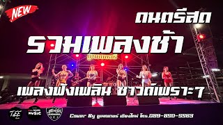 ดนตรีสด รวมเพลงช้า ลูกทุ่งอินดี้ ฟังเพลิน ซาวด์เพราะๆ Cover ชูเมกเกอร์ เชียงใหม่ [upl. by Lorilee]