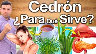 Zacate Limon o Cedron ¿Para Qué Sirve  Beneficios Del Cedrón Para Tu Salud Y Belleza [upl. by Signe]