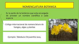 Nomenclatura Botánica [upl. by Avraham]