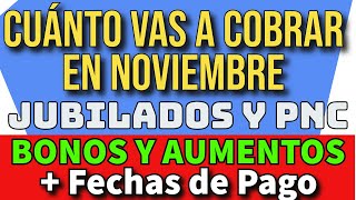 💥ES OFICIAL❗ CUANTO Y CUANDO COBRO EN NOVIEMBRE  JUBILADOS Y PENSIONADOS DE ANSES [upl. by Fanya179]