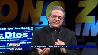 ¿Qué significado tiene el persignarse  Padre Pedro Núñez [upl. by Joiner]