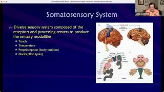 Opioid Issues for the Patient and Practitioner [upl. by Chicky]