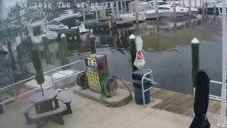 Gasparilla Marina  Live Stream  Englewood  Placida Florida  Gulf Coast  Fuel Dock Cameras [upl. by Joby717]