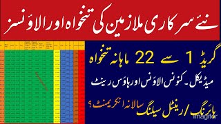 Pay and Allowances Salary New Appointed govt Employees 2023 24 Pakistan  rental celling details [upl. by Anaiv]