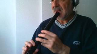 Hallelujah Leonard Cohen  Quena flute [upl. by Cresida]