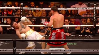 TKO Highlight  Danny Garcia vs Brandon Rios [upl. by Gautious]