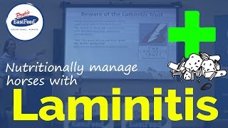 How to nutritionally manage horses with laminitis [upl. by Estis]