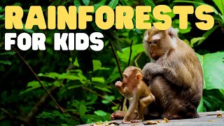 Rainforests for Kids  Learn all about the two types of rainforests [upl. by Doggett]