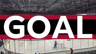 Ottawa 67s 2023 OHL Playoffs Goal Horn Gatineau [upl. by Flynn341]