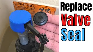 Fix it Yourself Replace the Fluidmaster 400 Valve Seal for Beginners  Basic Life Skills [upl. by Packton]