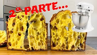 PANETTONE ALVEOLATO fatto in CASA con planetaria  2 parte [upl. by Balduin360]