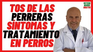 🔴 TOS de las PERRERAS o GARROTILLO Síntomas y Tratamiento 🔴 en Perros Adultos y CACHORROS [upl. by Eladroc787]