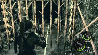 Resident Evil 5 Walkthrough Part 4  Veteran Chapter 22 [upl. by Hayne663]