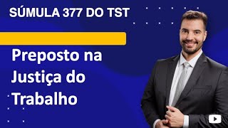 Súmula 377 TST  preposto na Justiça do Trabalho [upl. by Esorrebma]