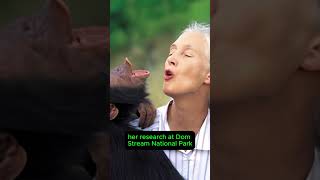 Jane Goodall 1934 –  Arkeolog [upl. by Naivat]