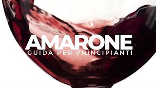 Come fare Il Vino LAmarone della Valpolicella [upl. by Rondi]