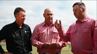 2024 Telpara Elders Sale Preview [upl. by Gambrell]