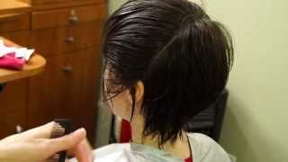 Textured Short Haircut with Fringe Neckline  Hair 101 Tutorial [upl. by Ailadi933]