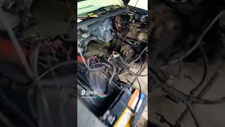 Transforming My Caprice with a 60 LS Swap amp Silverado 4L60E  Watch This lsswap shorts chevy [upl. by Yleve]