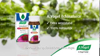 AVogel Echinaforce  Immuunsysteem en weerstand [upl. by Anifesoj734]