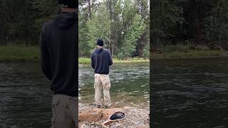 Montana Trout Fishing the Bitterroot River shorts [upl. by Ynotna]