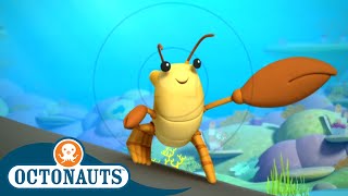 Octonauts  The Snapping Shrimp  Full Episode 15  Cartoons for Kids  Underwater Sea Education [upl. by Buna]