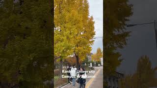 Autumn in Konkuk University Seoul 건국대학교서울의 가을 [upl. by Idnew106]