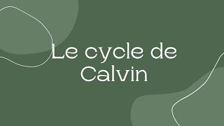 Tout savoir sur le Cycle de Calvin [upl. by Abbottson989]