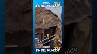 😅🎶👉🏽 𝙎í𝙜𝙪𝙚𝙣𝙤𝙨 𝙚𝙣 radiofindelmundotv ⭐️ radiofindelmundotv futbol Reels [upl. by Nossila]