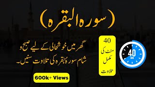 Surah AlBaqarah Recitation Full amp Fast  Surah Baqarah Tilawat Relaxing Quran Recitation Complete [upl. by Llecrup]