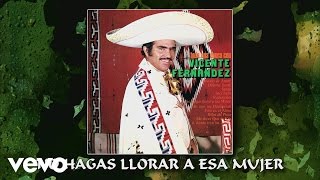 Vicente Fernández  No Hagas Llorar a Esa Mujer Cover Audio [upl. by Razaile]