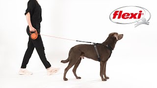 How to use a flexi® Leash  The only original retractable leash 2024 [upl. by Yffub617]