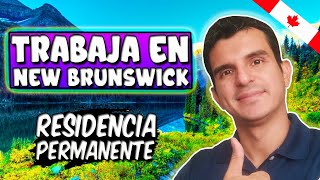 TRABAJO Y RESIDENCIA PERMANENTE en New Brunswick  Emigra a CANADA con RESIDENCIA [upl. by Repotsirhc]