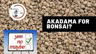 Why we dont use Akadama  The Bonsai Supply [upl. by Anetta141]