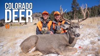 The Colorado Experience  BIG BUCK DOWN FreshTracks [upl. by Esirahs]