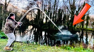 I CAUGHT a STUNNING Carp Fishing at Llyn Y Gors North Wales [upl. by Lily]