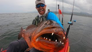 Giant Snapper with HUGE Teeth  Field Trips Panama  Field Trips with Robert Field [upl. by Junko]