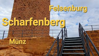 Felsenburg Scharfenberg Münz [upl. by Horan]