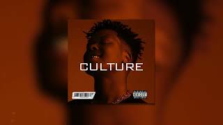 Free Nasty C Type Beat  CULTURE [upl. by Conrad]