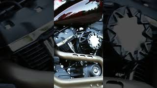 Harley Davidson FAT BOB 114 FXFBS  Frozen Blood 2 [upl. by Philemol52]