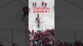 Kurtis MacDermid vs Jonah Gadjovich HockeyFights Devils Panthers [upl. by Mayman]