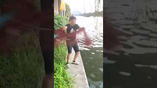 New best technique for net fishing 🐋 net fishing video fisheryworld fish fishing fishingvideos [upl. by Lemej]