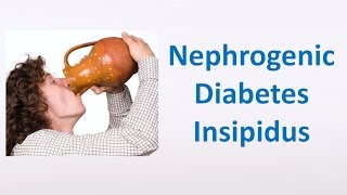 Nephrogenic Diabetes Insipidus [upl. by Cl]