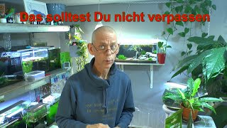 Das Beste Tool für dein Aquarium und wir testen es Neues Futter Vegetarisch für Zwerggarnelen Test [upl. by Cis]