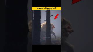 জঙ্গলের ৩টি ভুতুড়ে প্রাণী  Haunted animals shorts animals factsbangla mayajaal [upl. by Niamreg]