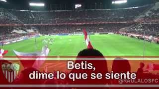 Betis dime lo que se siente  Cánticos Sevillistas  Raulalo [upl. by Siulegroj228]