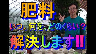 ガーデニング 肥料って何使う？「キャリア28年のプロガーデナーがオススメする2つの肥料とその使い方」 [upl. by Rodgiva]